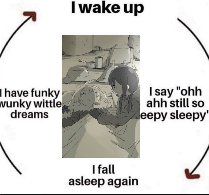 Sleeping cycle Blank Meme Template