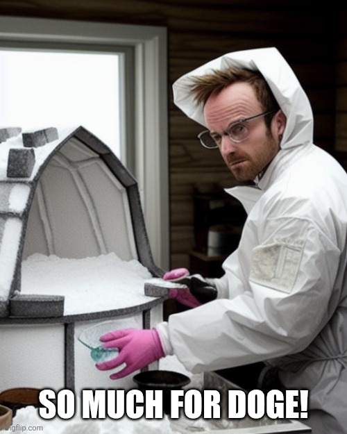 Snowcones | SO MUCH FOR DOGE! | image tagged in snowcones | made w/ Imgflip meme maker