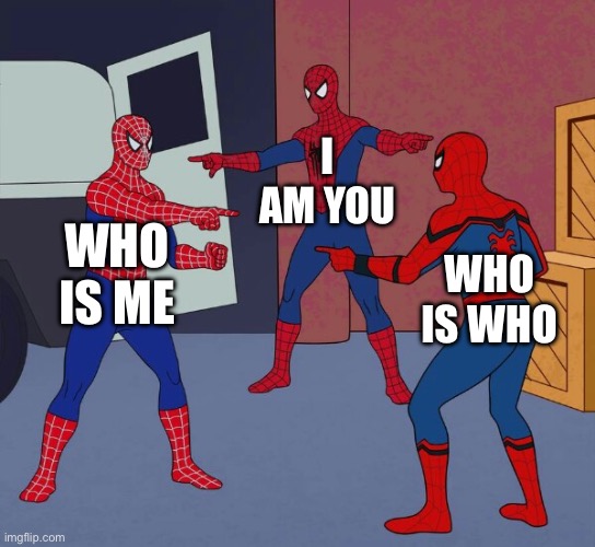 Spider Man Triple | I AM YOU; WHO IS ME; WHO IS WHO | image tagged in spider man triple | made w/ Imgflip meme maker
