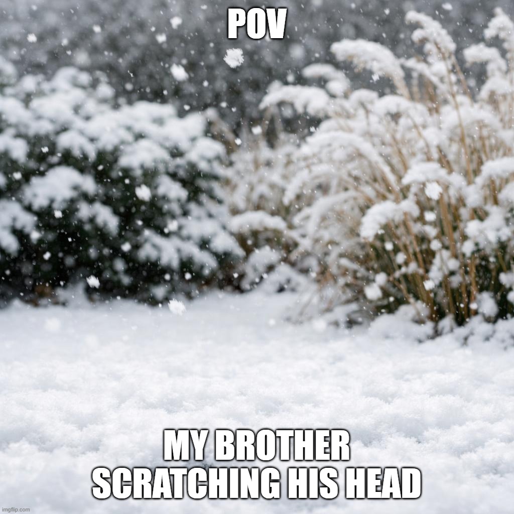 REAL | POV; MY BROTHER SCRATCHING HIS HEAD | image tagged in funny,funny memes | made w/ Imgflip meme maker