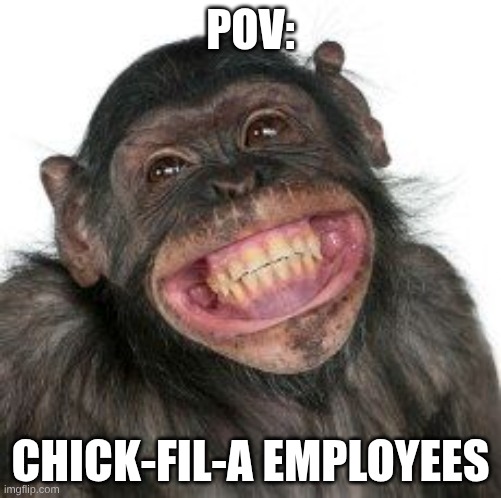 Grinning Chimp | POV:; CHICK-FIL-A EMPLOYEES | image tagged in grinning chimp | made w/ Imgflip meme maker