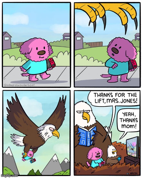 Nintendo Switch | image tagged in nintendo switch,nintendo,bald eagle,comics,comics/cartoons,gaming | made w/ Imgflip meme maker