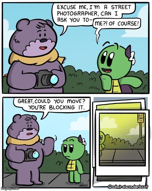 Street photographer | image tagged in street,photographer,photo,turtles,turtle,comics/cartoons | made w/ Imgflip meme maker