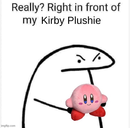Really? Right in front of my | Kirby Plushie | image tagged in really right in front of my | made w/ Imgflip meme maker