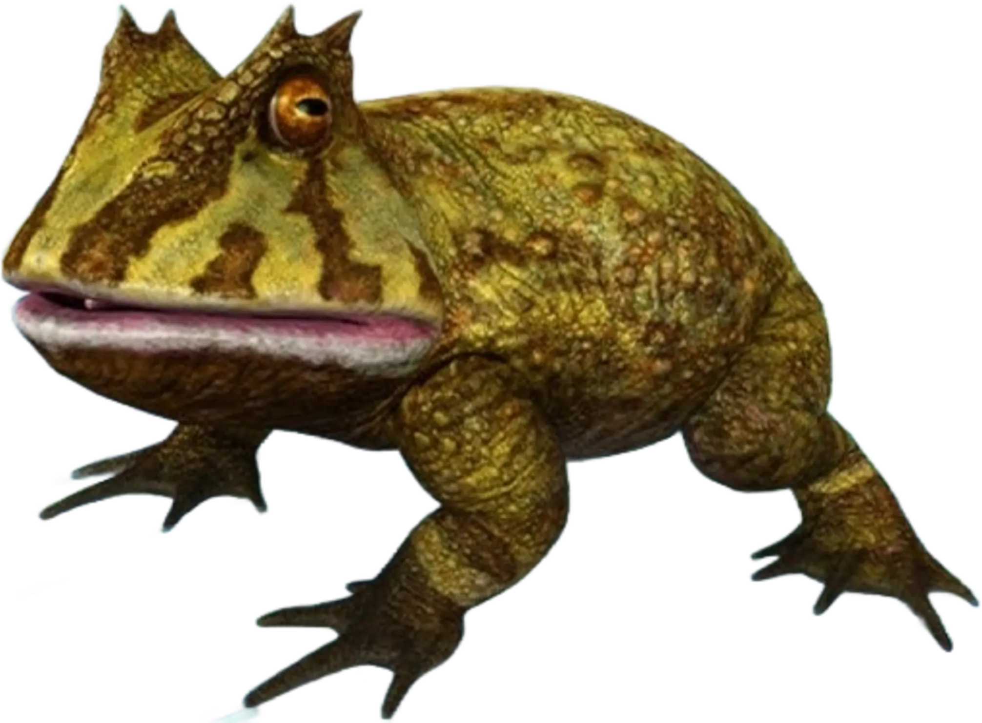 Beelzebufo (JWA Design) Blank Meme Template