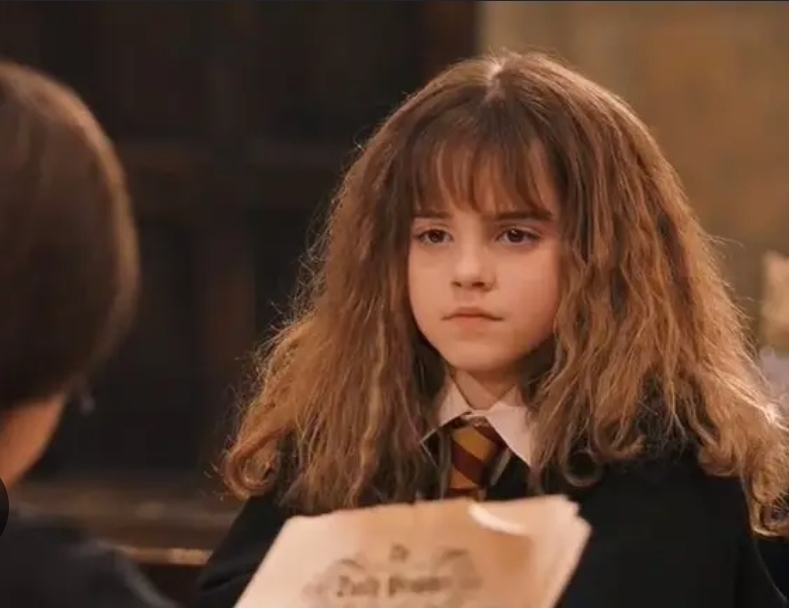 Hermione Blank Meme Template
