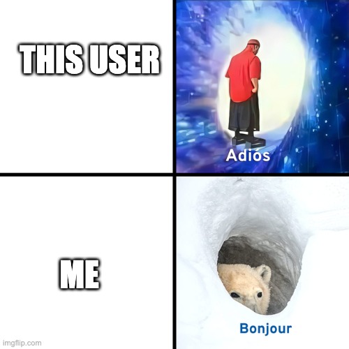 THIS USER ME | image tagged in adios bonjour | made w/ Imgflip meme maker