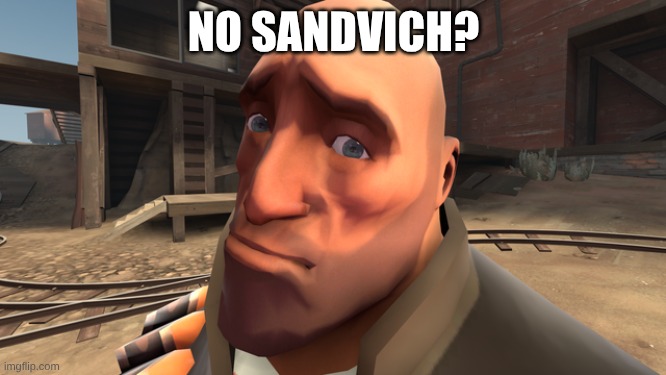 i think this belongs in report rather than team_fortress_two | NO SANDVICH? | image tagged in heavy no bitches | made w/ Imgflip meme maker