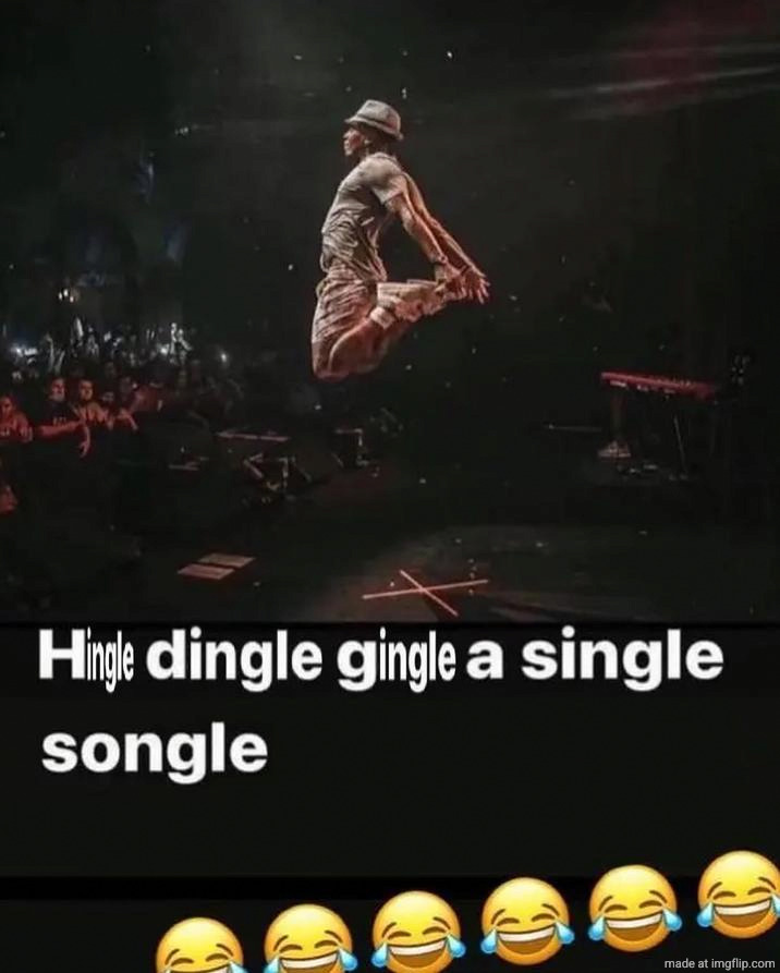 Hingle dingle gingle a single songle | image tagged in hingle dingle gingle a single songle | made w/ Imgflip meme maker