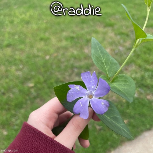 @raddie | made w/ Imgflip meme maker