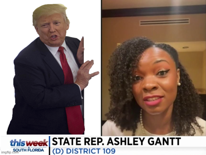 Trump trolls Ashley Gantt, a Jasmine Crockett clone Blank Meme Template