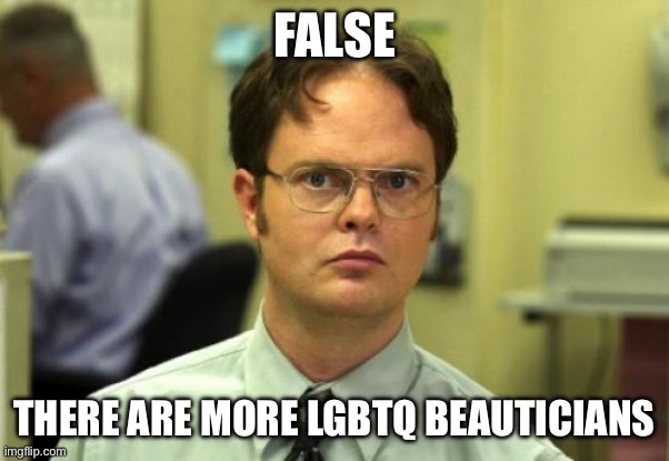 FALSE THERE ARE MORE LGBTQ BEAUTICIANS | image tagged in memes,dwight schrute | made w/ Imgflip meme maker