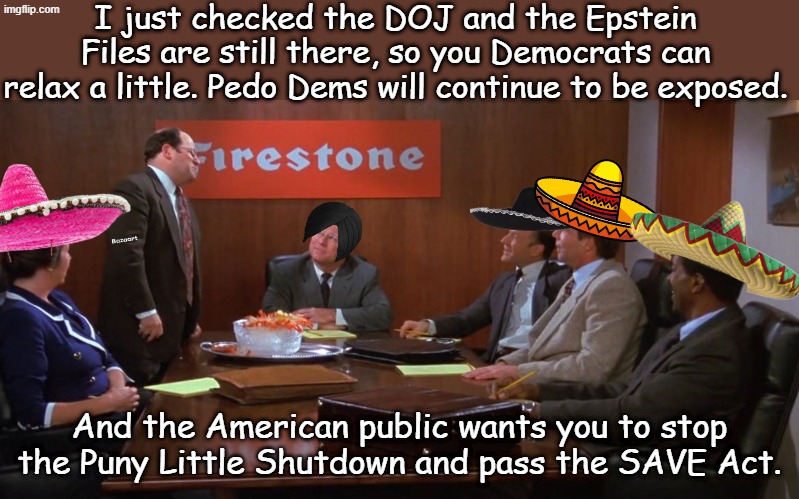 The Democrats sure worry a lot about things that aren't happening | I just checked the DOJ and the Epstein Files are still there, so you Democrats can relax a little. Pedo Dems will continue to be exposed. And the American public wants you to stop the Puny Little Shutdown and pass the SAVE Act. | image tagged in jerk store called | made w/ Imgflip meme maker