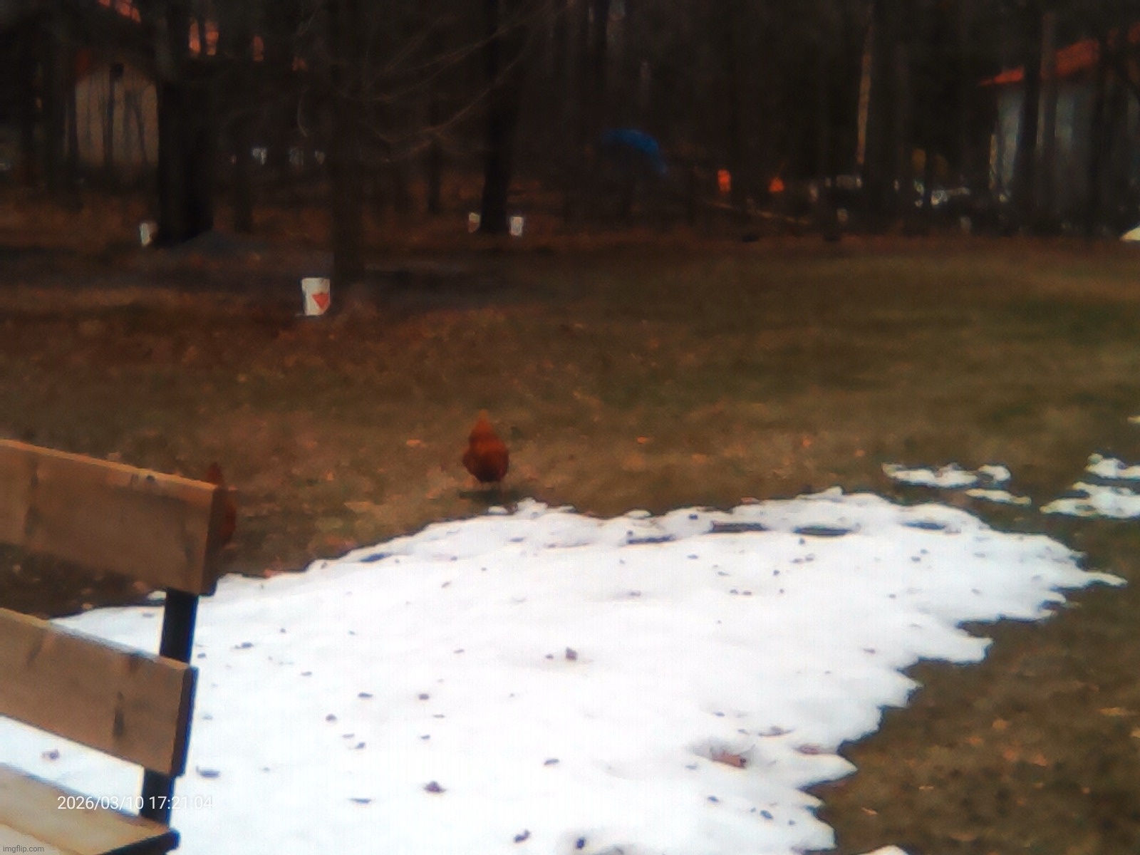 I think the worst thing about my tablet is that it has such shitty camera quality it makes my photos look clanker-made :( | made w/ Imgflip meme maker