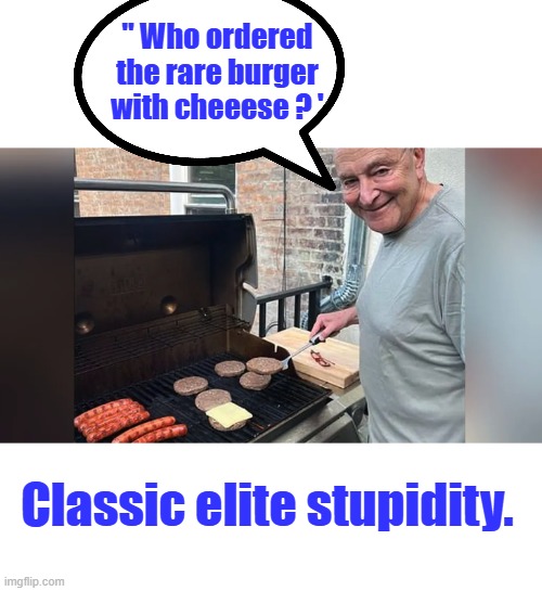 " Who ordered the rare burger with cheeese ? '; Classic elite stupidity. | made w/ Imgflip meme maker