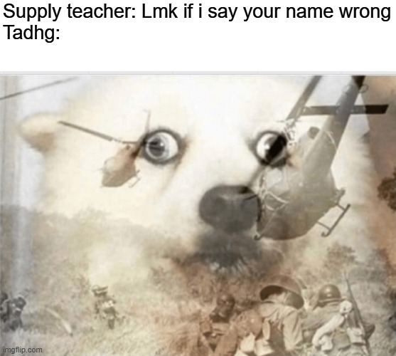 Random idea lol | Supply teacher: Lmk if i say your name wrong
Tadhg: | image tagged in ptsd dog | made w/ Imgflip meme maker