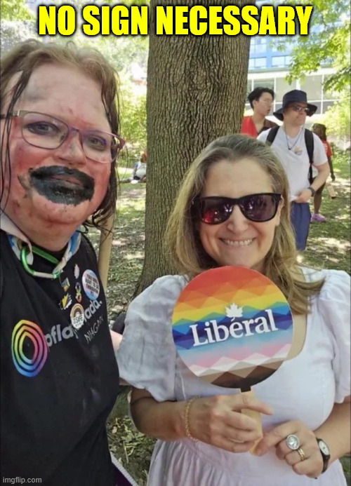 No sign necessary | NO SIGN NECESSARY | image tagged in deranged,libs | made w/ Imgflip meme maker