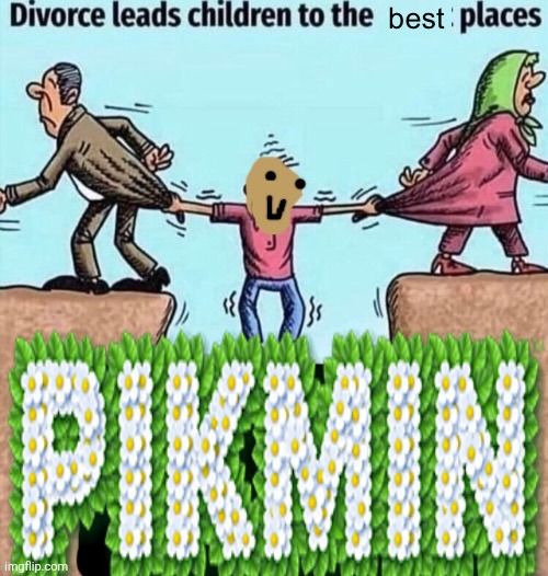 Divorce leads children to the happiest places | image tagged in divorce leads children to the happiest places | made w/ Imgflip meme maker