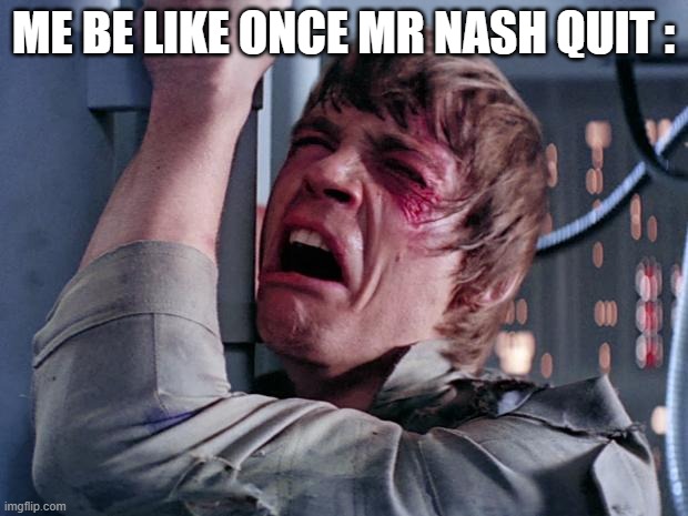 why did he quit they should have ms johnson quit instead | ME BE LIKE ONCE MR NASH QUIT : | image tagged in luke nooooo,memes,funny | made w/ Imgflip meme maker