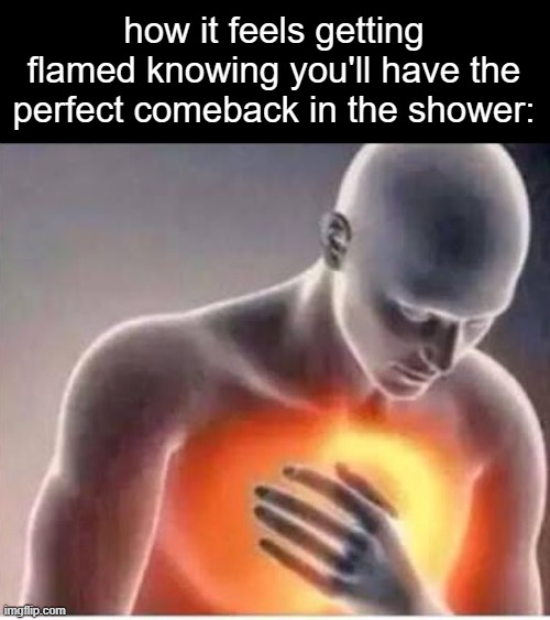 i havent posted a meme since january | how it feels getting flamed knowing you'll have the perfect comeback in the shower: | image tagged in chest pain | made w/ Imgflip meme maker