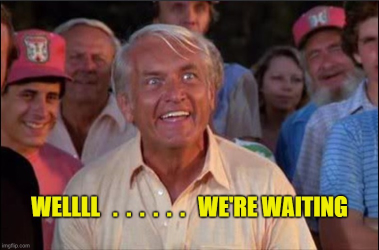 WELLLL   .  .  .  .  .  .   WE'RE WAITING | image tagged in well we're waiting | made w/ Imgflip meme maker