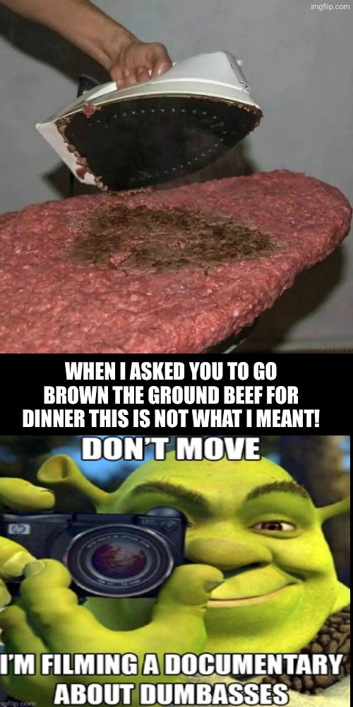 A Documentary About Dumbasses | WHEN I ASKED YOU TO GO BROWN THE GROUND BEEF FOR DINNER THIS IS NOT WHAT I MEANT! | image tagged in duhhh dumbass,do you are have stupid,beef,cursed images,you had one job,human stupidity | made w/ Imgflip meme maker