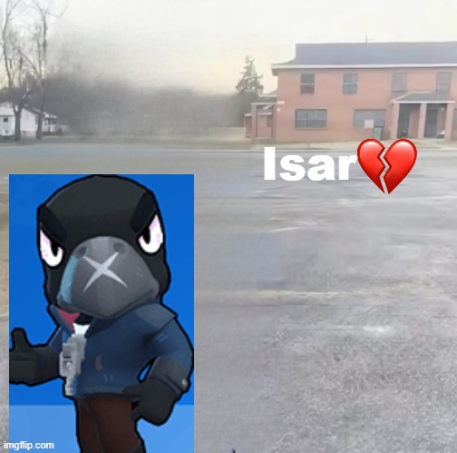 new temp | image tagged in crow sybau | made w/ Imgflip meme maker