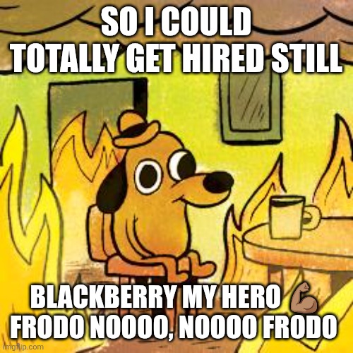 DARN IT | SO I COULD TOTALLY GET HIRED STILL; BLACKBERRY MY HERO 💪🏽 FRODO NOOOO, NOOOO FRODO | image tagged in dog in burning house | made w/ Imgflip meme maker