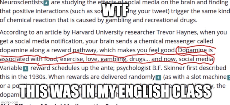 wtf | WTF; THIS WAS IN MY ENGLISH CLASS | image tagged in school | made w/ Imgflip meme maker