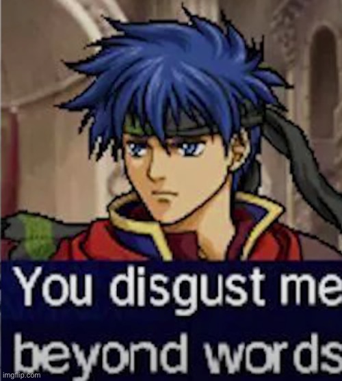 you disgust me beyond words | image tagged in you disgust me beyond words | made w/ Imgflip meme maker