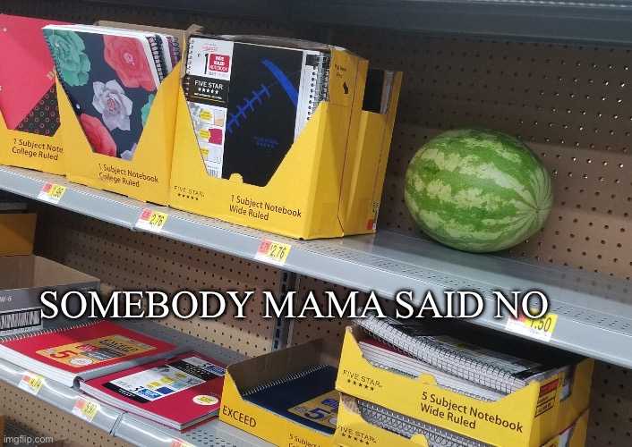 but mom watermelon is healthy | SOMEBODY MAMA SAID NO | image tagged in msmg,memes,watermelon | made w/ Imgflip meme maker