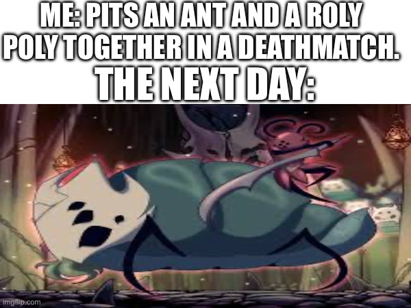 Now then if we put a spider in there… | ME: PITS AN ANT AND A ROLY POLY TOGETHER IN A DEATHMATCH. THE NEXT DAY: | image tagged in hollow knight | made w/ Imgflip meme maker