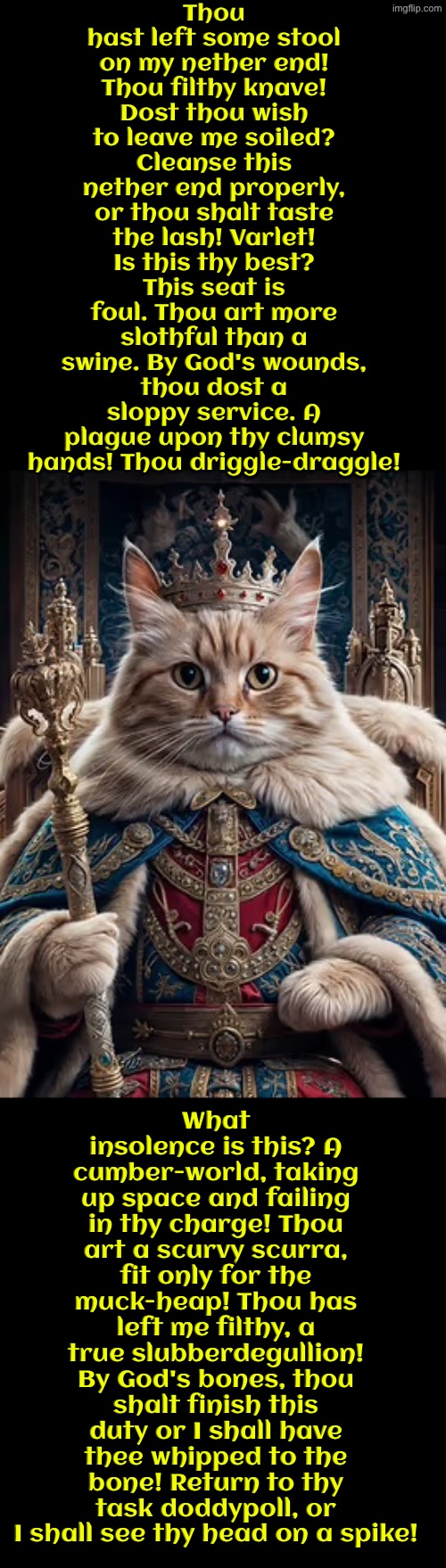 The Groom Of The Stool | Thou hast left some stool on my nether end! Thou filthy knave! Dost thou wish to leave me soiled? Cleanse this nether end properly, or thou shalt taste the lash! Varlet! Is this thy best? This seat is foul. Thou art more slothful than a swine. By God's wounds, thou dost a sloppy service. A plague upon thy clumsy hands! Thou driggle-draggle! What insolence is this? A cumber-world, taking up space and failing in thy charge! Thou art a scurvy scurra, fit only for the muck-heap! Thou has left me filthy, a true slubberdegullion! By God's bones, thou shalt finish this duty or I shall have thee whipped to the bone! Return to thy task doddypoll, or I shall see thy head on a spike! | image tagged in cats,medieval memes,the king,you had one job,insults,pooping | made w/ Imgflip meme maker