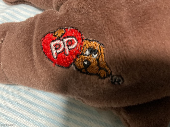 Ts just HAD to be the pound puppy logo ?? | made w/ Imgflip meme maker