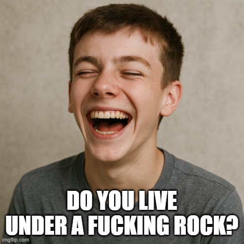 DO YOU LIVE UNDER A FUCKING ROCK? | image tagged in laughing | made w/ Imgflip meme maker