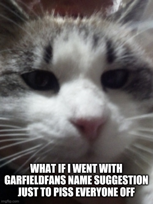 Sour Hart announcement template | WHAT IF I WENT WITH GARFIELDFANS NAME SUGGESTION JUST TO PISS EVERYONE OFF | image tagged in sour hart announcement template | made w/ Imgflip meme maker