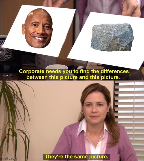 rock or Rock | image tagged in memes,they're the same picture,funny,imgflip,views,dwayne johnson | made w/ Imgflip meme maker
