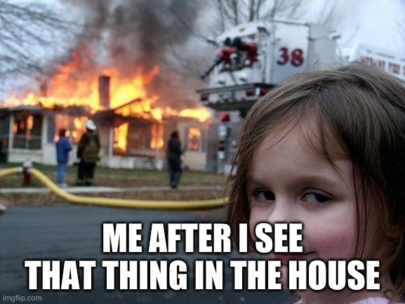 Disaster Girl Meme | ME AFTER I SEE THAT THING IN THE HOUSE | image tagged in memes,disaster girl | made w/ Imgflip meme maker