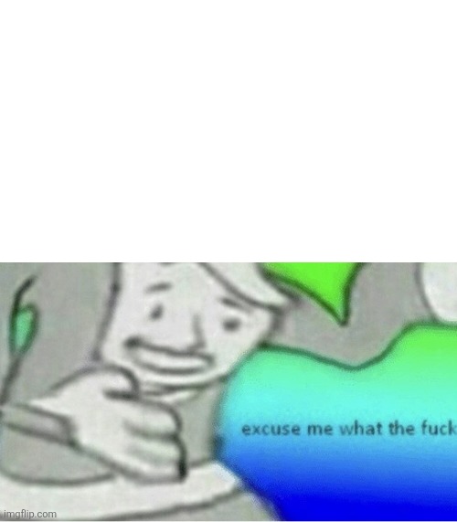 Excuse me wtf blank template | image tagged in excuse me wtf blank template | made w/ Imgflip meme maker
