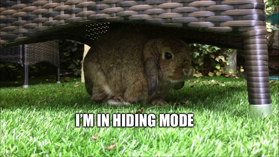 I’m in my fox hole | I’M IN HIDING MODE | image tagged in call of duty | made w/ Imgflip meme maker