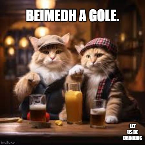 Beimedh a gole !! An old Irish toast meaning "Let Us Be Drinking". | BEIMEDH A GOLE. LET US BE DRINKING | image tagged in cat,kittens,toast,st patricks day,play on words | made w/ Imgflip meme maker