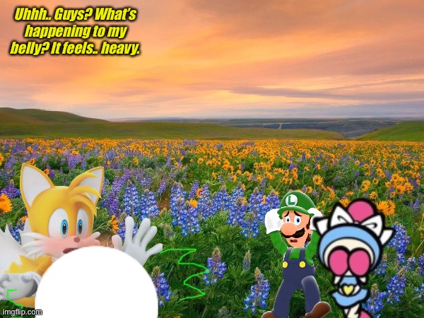 The Tummy Adventures of Tails. Belly Inflation scene | Uhhh.. Guys? What’s happening to my belly? It feels.. heavy. | image tagged in meadow,tails the fox,luigi,aqua bomber,inflation | made w/ Imgflip meme maker