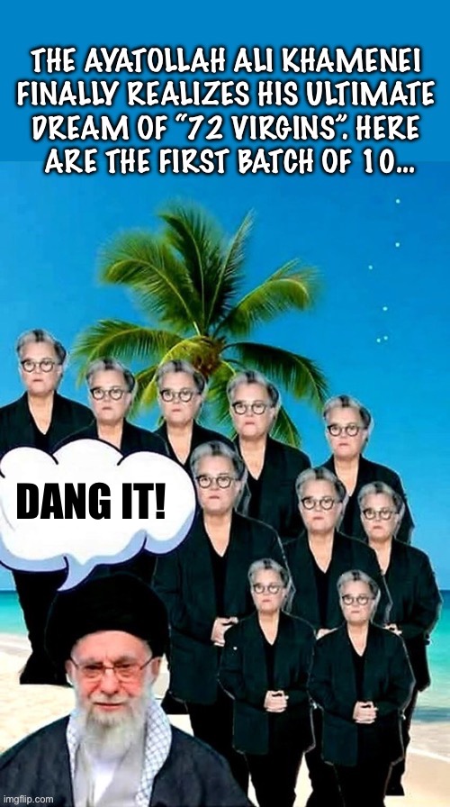 The next 10 look like Whoopi Goldberg… | DANG IT! | image tagged in political meme,ayatollah,72 virgins,dream come true,rosie o'donnell,not what he expected | made w/ Imgflip meme maker