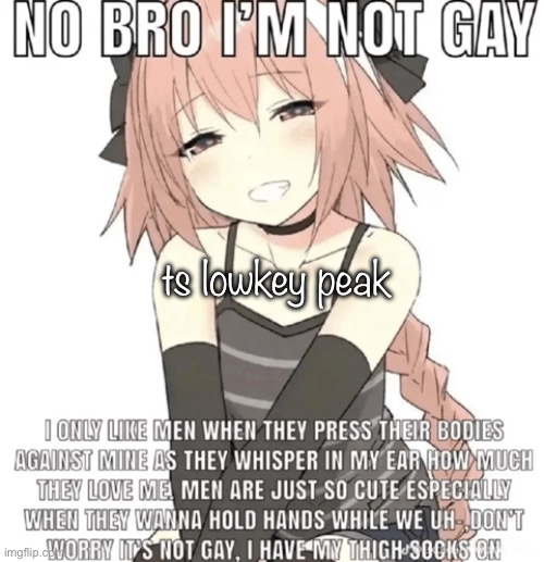 fam | ts lowkey peak | image tagged in fam,msmg | made w/ Imgflip meme maker