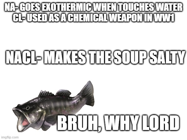 NA- GOES EXOTHERMIC WHEN TOUCHES WATER

CL- USED AS A CHEMICAL WEAPON IN WW1; NACL- MAKES THE SOUP SALTY; BRUH, WHY LORD | made w/ Imgflip meme maker