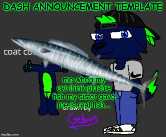 fih | DASH ANNOUNCEMENT TEMPLATE; me when my cat think plushie fish my sister gave me is real fish... | image tagged in dash announcement template | made w/ Imgflip meme maker