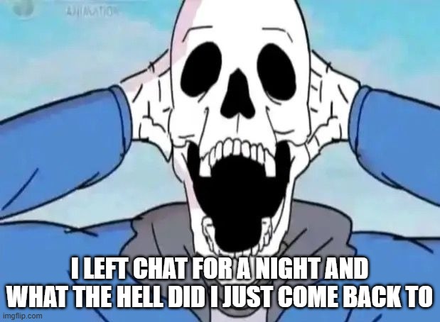 I LEFT CHAT FOR A NIGHT AND WHAT THE HELL DID I JUST COME BACK TO | image tagged in bruh | made w/ Imgflip meme maker