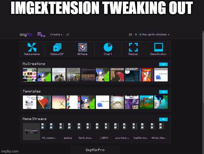 bruh | IMGEXTENSION TWEAKING OUT | made w/ Imgflip meme maker