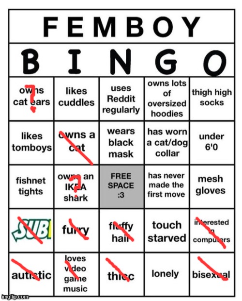 question marks mean almost | image tagged in femboy bingo | made w/ Imgflip meme maker