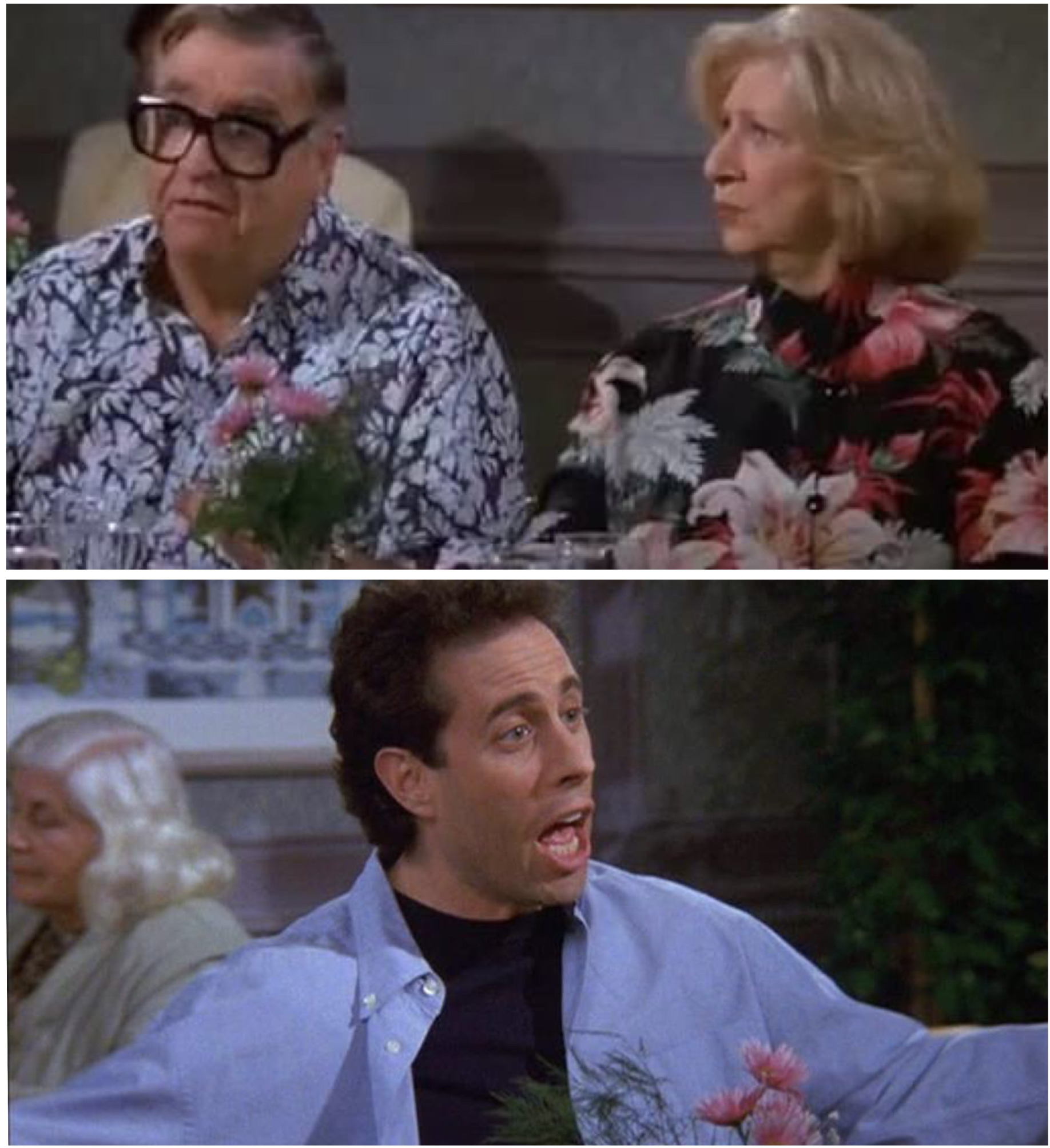 Seinfeld: It Does Other Things! Blank Meme Template